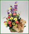 A basket of delphinium, standard carnations, daisy spray mums and a cuddly teddy bear. Color of bear may vary.