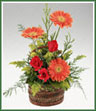 Rich red roses, orange gerbera, solidaster and soft foliage artfully arranged in a handled basket