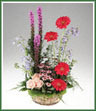 A fresh vegetative garden basket of Osiana roses, delphinium, daisy spray mums, liatris and gerbera.