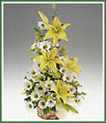 Send a basket of cheer with white and yellow daisy spray mums and yellow asiatic lilies.