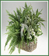 A large  basket of mixed green plants  with a blooming plant or fresh flower decoration.