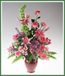 A vase of mixed flowers including gerbera, carnations, alstroemeria, larkspur,  monté casino asters, roses and moluccella in lavender, pink and purple. Burgundy vase shown, but vase color may vary.