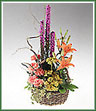 A vivid basket of liatris, asiatic lilies, carnations and yarrow with a natural curly willow branch.