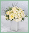 This snowy winter bouquet reflects the peace of this joyous season. All white roses and a white hydrangea are accented with crystal iced branches and Christmas greens. Arranged in a white vase, it's a pure and simple way to extend your best holiday greetings.