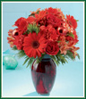 A beautiful holiday red glass vase holds an array of crimson blossoms. Carnations, roses, Gerbera daisies and alstroemeria are decorated with shiny red glass ornaments and interspersed with Christmas greens. Great to give, or to keep for yourself!
