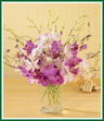 This bouquet of fifteen stems of exotic mistine and fuchsia Dendrobium orchids is perfectly elegant on its own. Presented in a 6