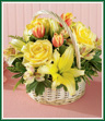 This round willow basket is filled with posies that look freshly picked from your garden. Spring yellow roses, Asiatic and Peruvian lilies are surprised by yellow tulips with pink outer petals. This cheerful basket will brighten anyone's day! Style of basket may vary.