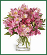 For the Love of Lilies - Peruvian style. Pale pink and hot pink Peruvian lilies are gathered with greens in a rectangular clear glass vase. Perfect to send for any occasion - or just to make someone smile.
