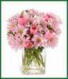 Hot pink tulips speak happily of Spring. Teamed with pastel lavender daisy pompons, this warm bouquet will chase away all thoughts of gray days.