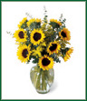 Glorious summer sunflowers and solidago make a bright and sunny bouquet. Arranged in an urn-shaped glass vase and accented with eucalyptus, this is a striking arrangement for birthday, get well or just because. Style of vase may vary.