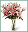 Speak from your heart to theirs with a collection of pink vibrant blooms. Pale pink roses collaborate with the magic of Stargazer lilies displaying their fragrant fuchsia petals amidst waxflower accents. Beautifully arranged  in a clear square tapered glass vase, this bouquet sends your warmest sentiments with glamour and grace.