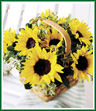 This basket overflows with sunflowers and good cheer. Style of basket may vary.