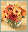 Peach alstroemeria, golden mini Gerbera daisies, orange spray roses and beautiful Leonidas roses are gathered into a bubble bowl containing curly willow. The end result is a natural, but elegant bouquet.