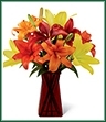 The Happy Thoughts Bouquet pops with brilliant color to celebrate the coming of the harvest months. Yellow, deep orange, rich red and bright orange Asiatic lilies create an incredible display of beauty perfectly arranged in a designer ruby square glass vase to bring your special recipient a warm wish for autumn days full of happiness. 
