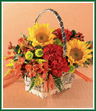 A pair of golden Sunflowers proclaim 