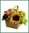 The Bright Day Basket is an abundant expression of Summer's beauty. Sunflowers, bi-colored pink roses, orange spray roses, burgundy miniature carnations, red hypericum berries and green button poms create a splash of sun-filled cheer when presented in a natural basket tied with a bright green ribbon, making this a lovely way to delight and dazzle your special recipient.