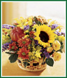 A terrific seasonal bouquet featuring the best of fall's color. This basket arrangement features spray roses and a sunflower accented with carnations, daisies, and a festive artificial pumpkin pic. Style of basket may vary.