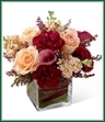 The Share My World Bouquet blooms with modern sophistication and elegance to bring your special recipient a truly exquisite gift. Peach roses, peach stock, burgundy mini carnations and plum mini calla lilies are simply fantastic accented with heather stems and seated in a clear glass cubed vase. Variegated ti leaves and red flax leaves are used to line the inside of the vase for an appealing look making this brilliant bouquet set to extend your warmest wishes and sweet affection with its blushing color and array of textures. 