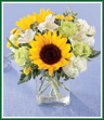 Two gorgeous sunflowers captivate this bouquet. Along with golden yellow button poms, pistachio carnations, jade roses and ivory alstroemeria, it's sure to light up your recipient's face - and heart! Styler of vase may vary.