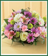 This Naturally Nice arrangement is exactly that - and pretty, too! A beautiful mix of pale and dark lavender daisy poms, pink mini carnations and alstroemeria mix nicely with the soft greens of button poms, pistachio carnations and lovely jade roses. Assorted greenery adds the aura of a natural garden. Everyone will love this sweet design. 