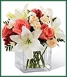 The Blushing Beauty Bouquet is a simply stunning bouquet of floral elegance and grace. Coral roses are set to capture their attention arranged amongst white Asiatic lilies, peach mini carnations, red hypericum berries and lush greens. Presented in a clear glass cubed vase, this bouquet creates a wonderful gift of blooming beauty. 