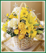 This lovely basket combines a yellow lily, yellow spray roses, yellow daisies and other bright sunshiny blossoms. Style of basket may vary.