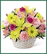 The Basket of Cheer® Bouquet sends your warmest wishes for happiness with each sunlit bloom! Yellow Asiatic lilies and traditional daisies are vibrant and beautiful arranged amongst pink carnations, pink Peruvian lilies and magenta mini carnations. Accented with lush greens and presented in a round whitewash handled basket, this arrangement is a sweet sentiment brought together to brighten your special recipient's day. GOOD basket includes 11 stems. Approx. 11
