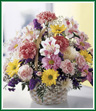 This cheery basket is a welcome sight. Bright and fluffy pink carnations, lavender and yellow daisy pompoms, with white and purple accents are arranged in a handled basket. Its the perfect gift for any occasion. Style of basket may vary.